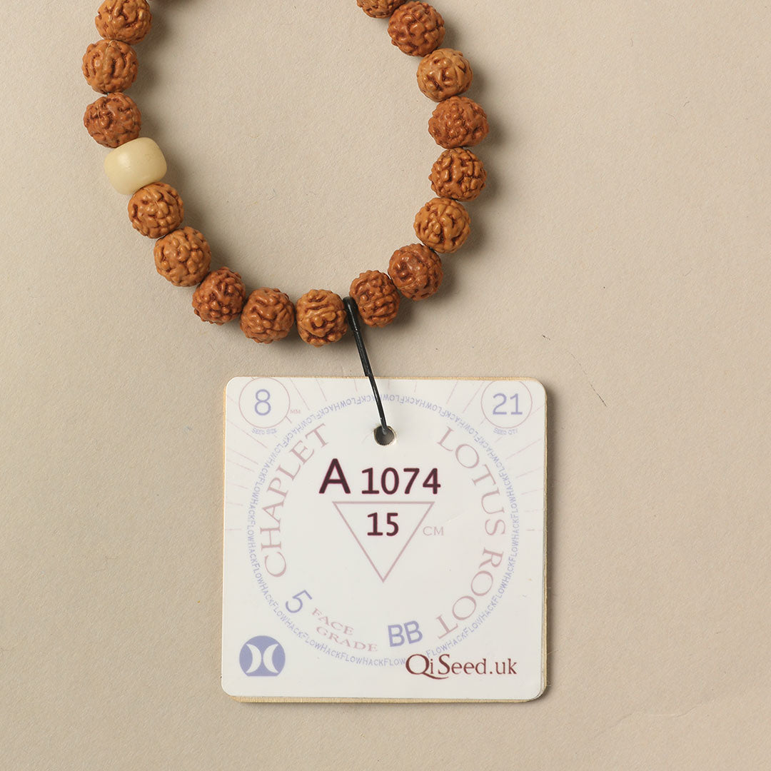 A1074 - Lotus Root Chaplet   15 cm  S+