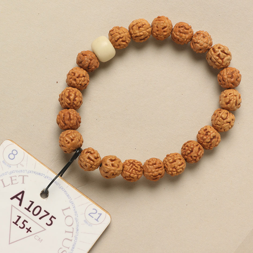 A1075 - Lotus Root Chaplet   15+ cm  S+