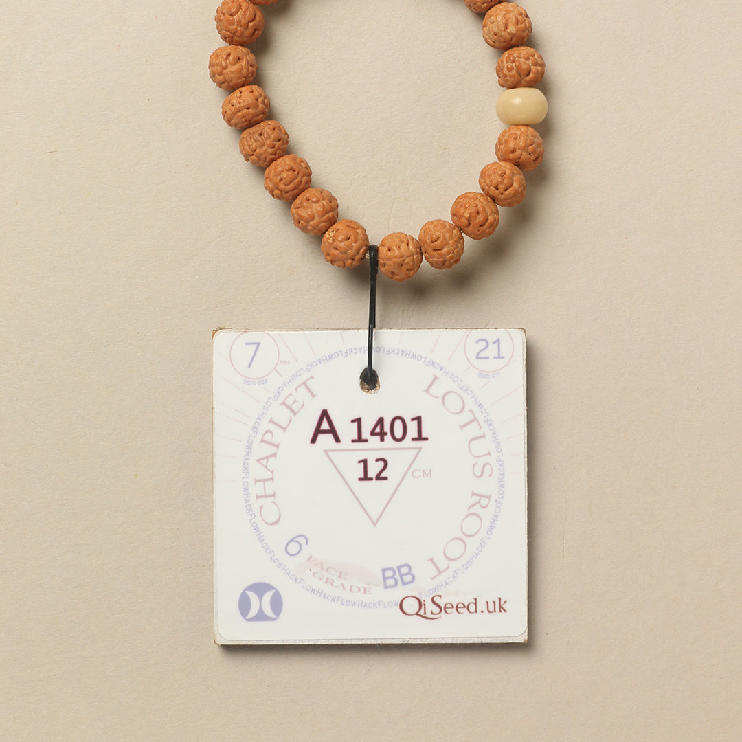 A1401 - Lotus Root Chaplet   12 cm  XS