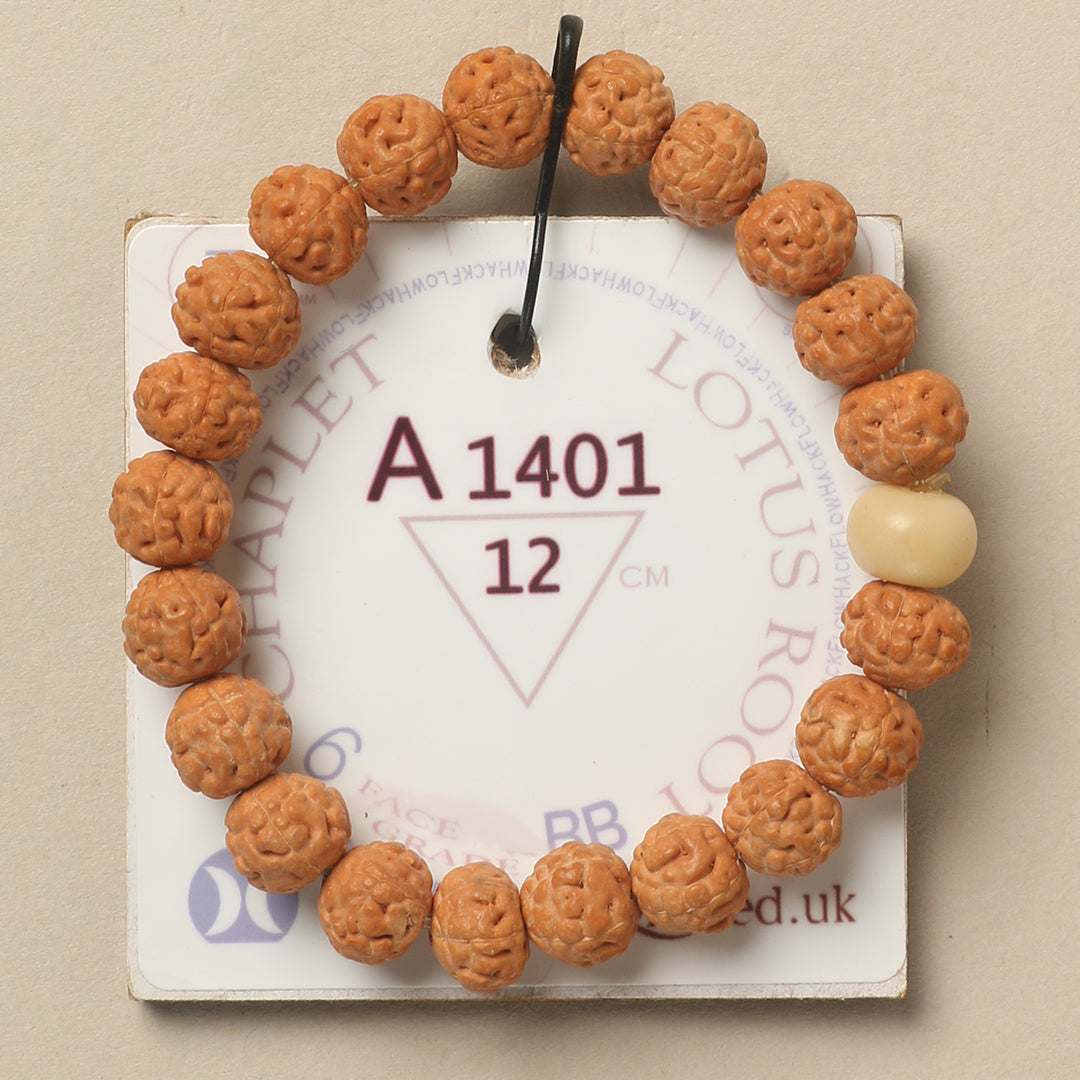 A1401 - Lotus Root Chaplet   12 cm  XS