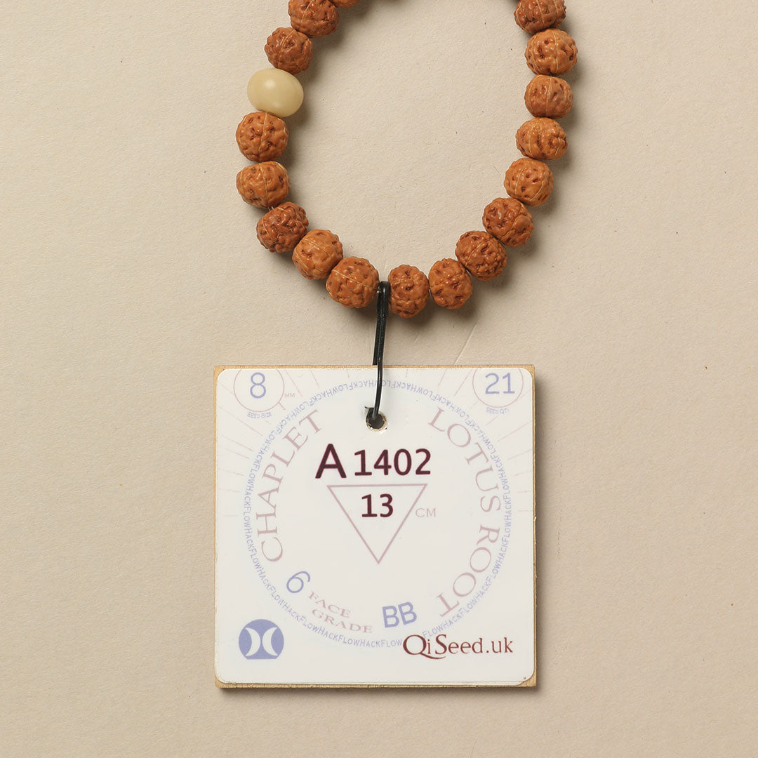 A1402 - Lotus Root Chaplet   13 cm  XS+