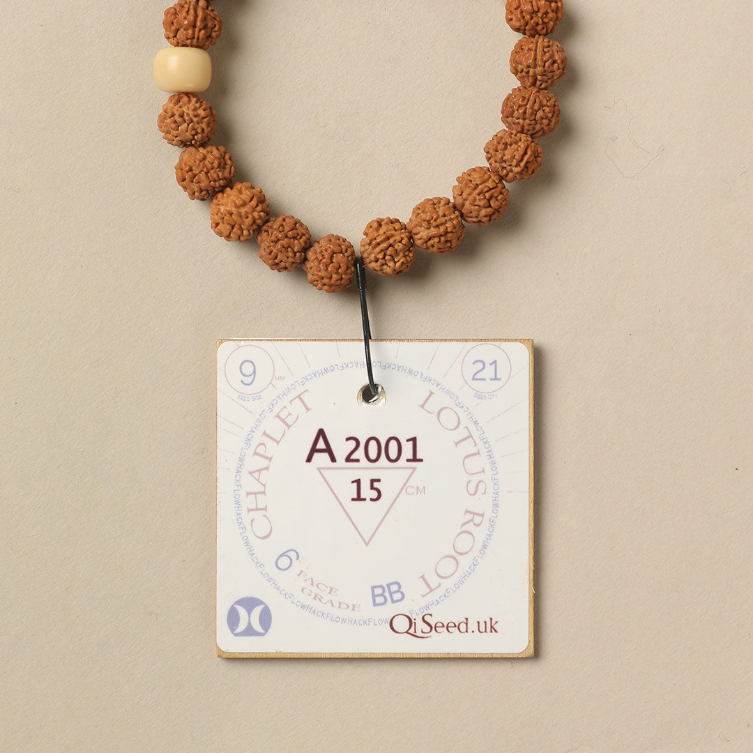 A2001 - Lotus Root Chaplet   15 cm  S+