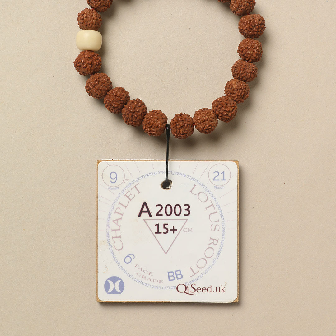 A2003 - Lotus Root Chaplet   15+ cm  S+