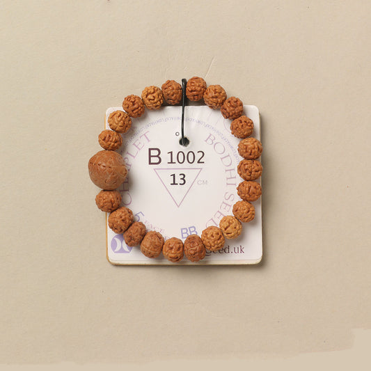 B1002 - Bodhi Seed Chaplet   13 cm  XS+