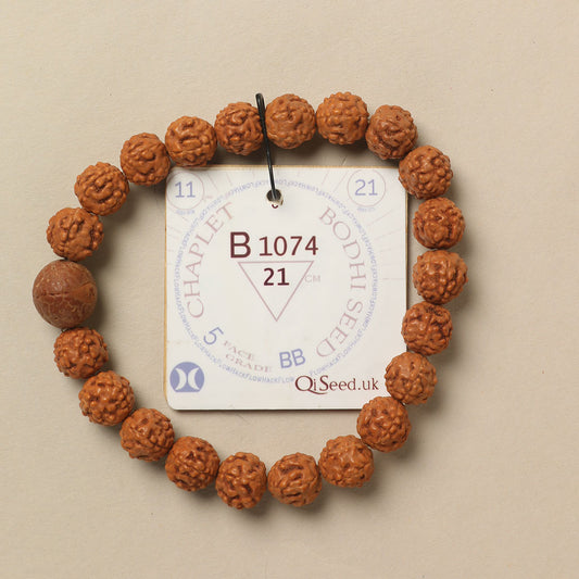 B1074 - Bodhi Seed Chaplet   21 cm  XL+