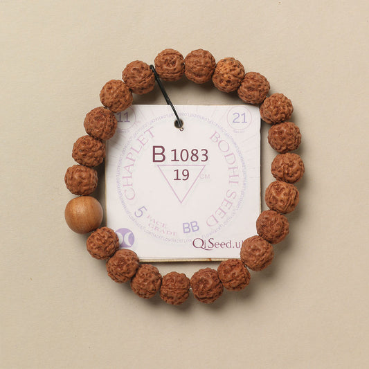 B1083 - Bodhi Seed Chaplet   19 cm  L+