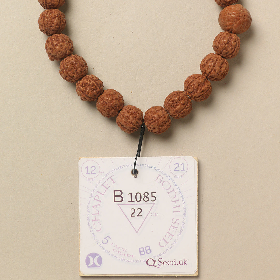 B1085 - Bodhi Seed Chaplet   22 cm  XXL