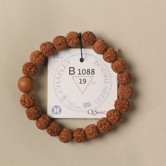 B1088 - Bodhi Seed Chaplet   19 cm  L+