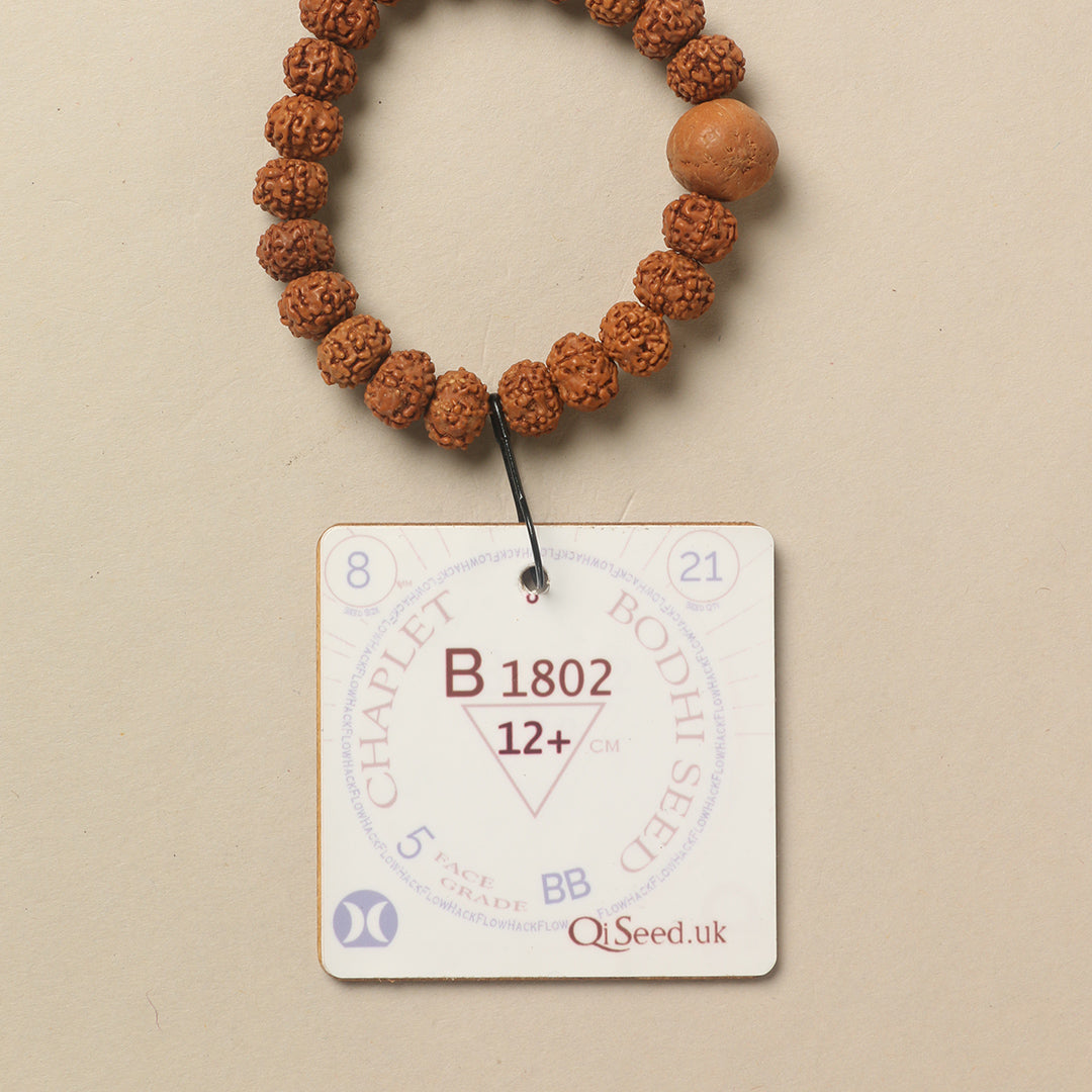 B1802 - Bodhi Seed Chaplet   12+ cm  XS