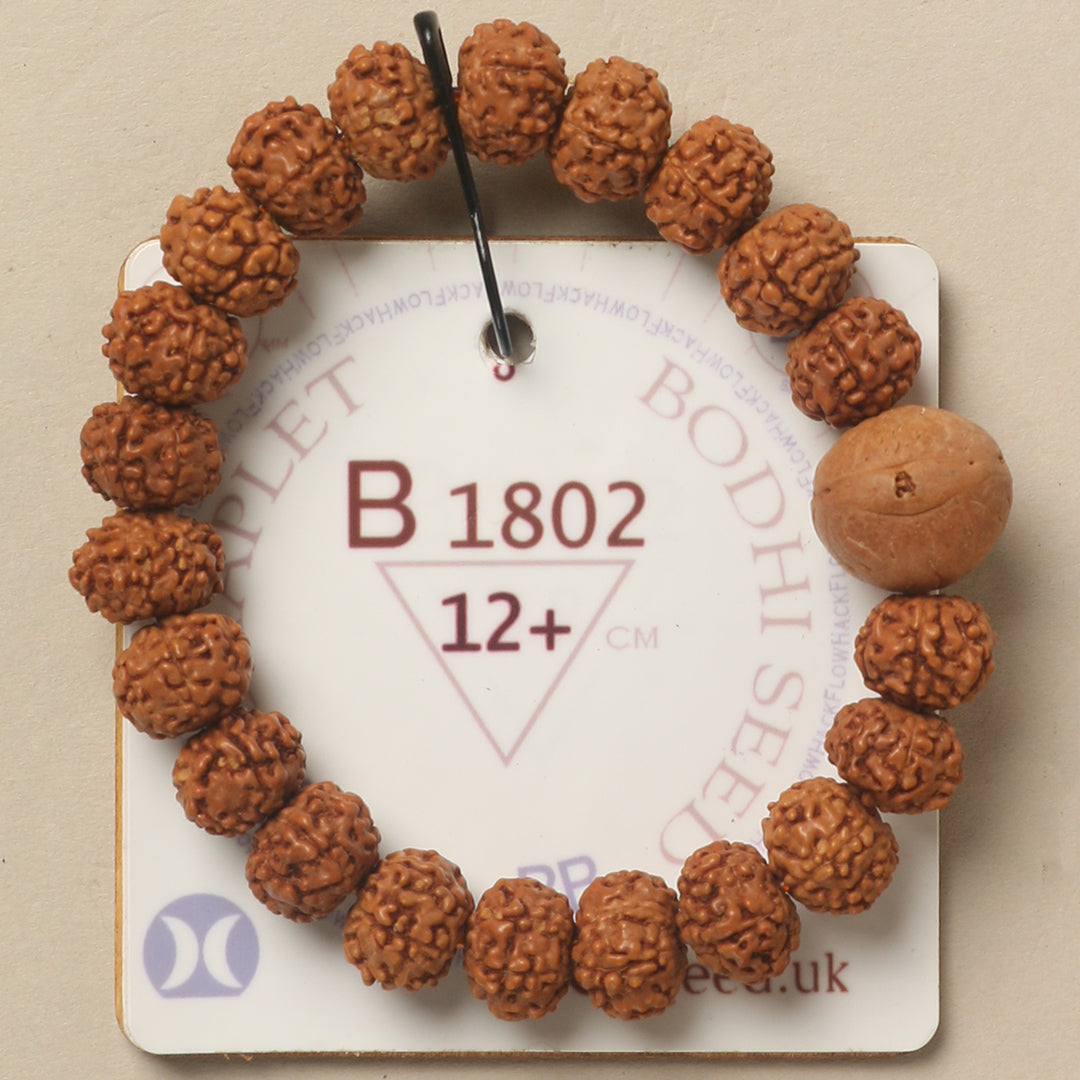 B1802 - Bodhi Seed Chaplet   12+ cm  XS