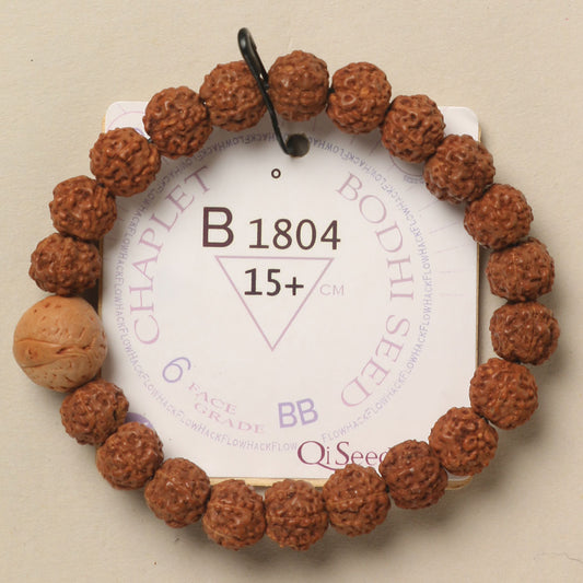 B1804 - Bodhi Seed Chaplet   15+ cm  S+