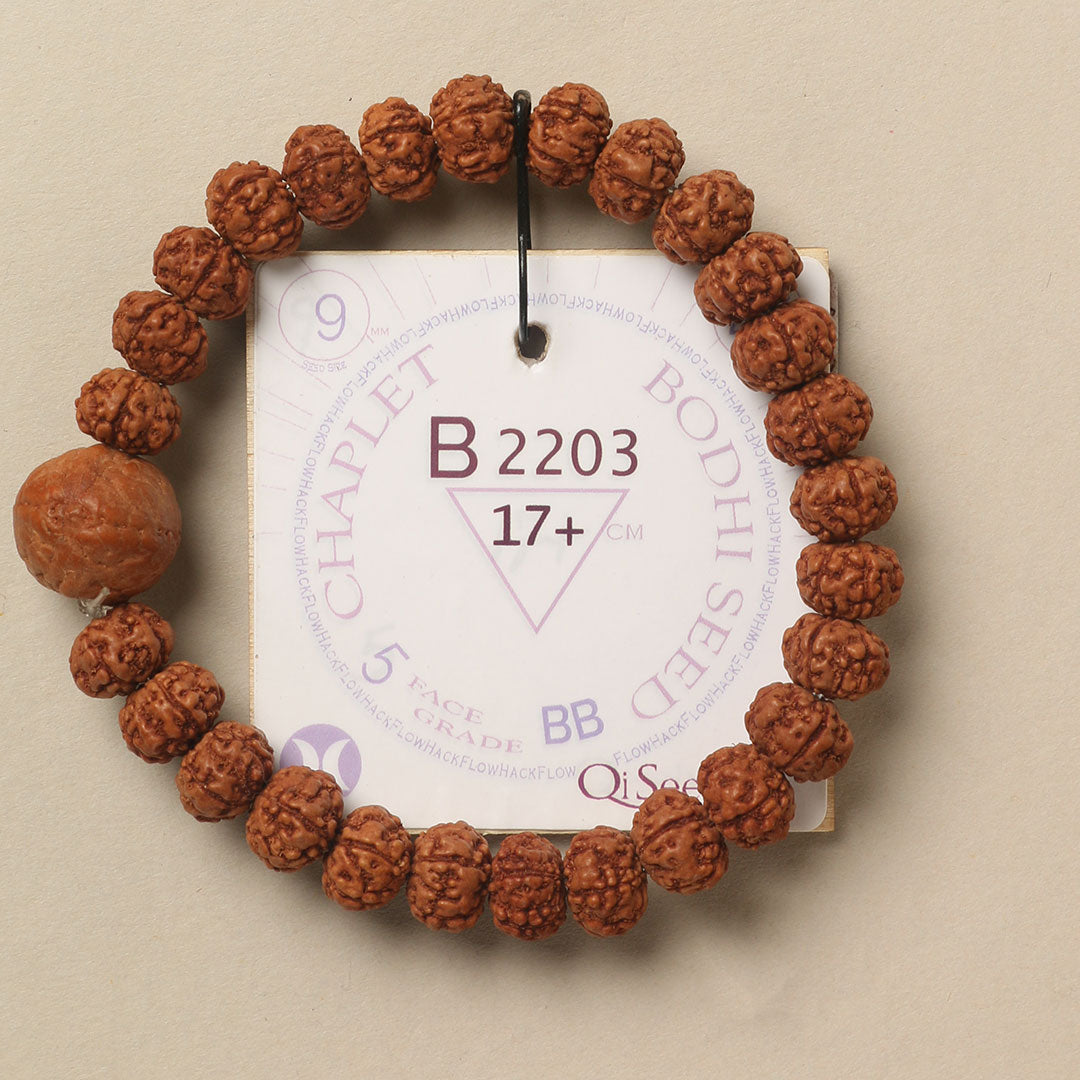 B2203 - Bodhi Seed Chaplet   17+ cm  M+