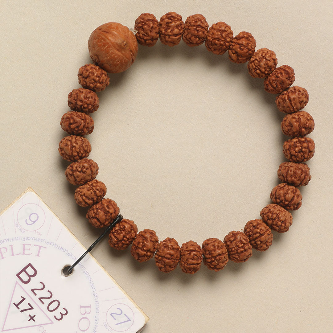 B2203 - Bodhi Seed Chaplet   17+ cm  M+