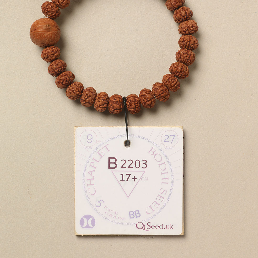 B2203 - Bodhi Seed Chaplet   17+ cm  M+