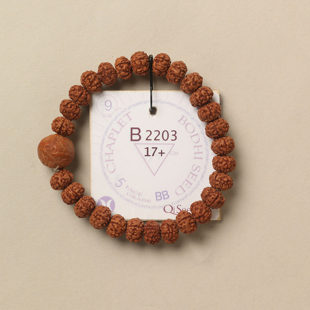 B2203 - Bodhi Seed Chaplet   17+ cm  M+