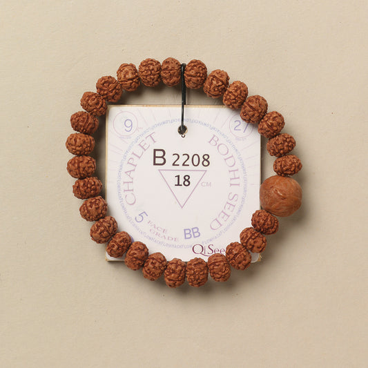 B2208 - Bodhi Seed Chaplet   18 cm  L