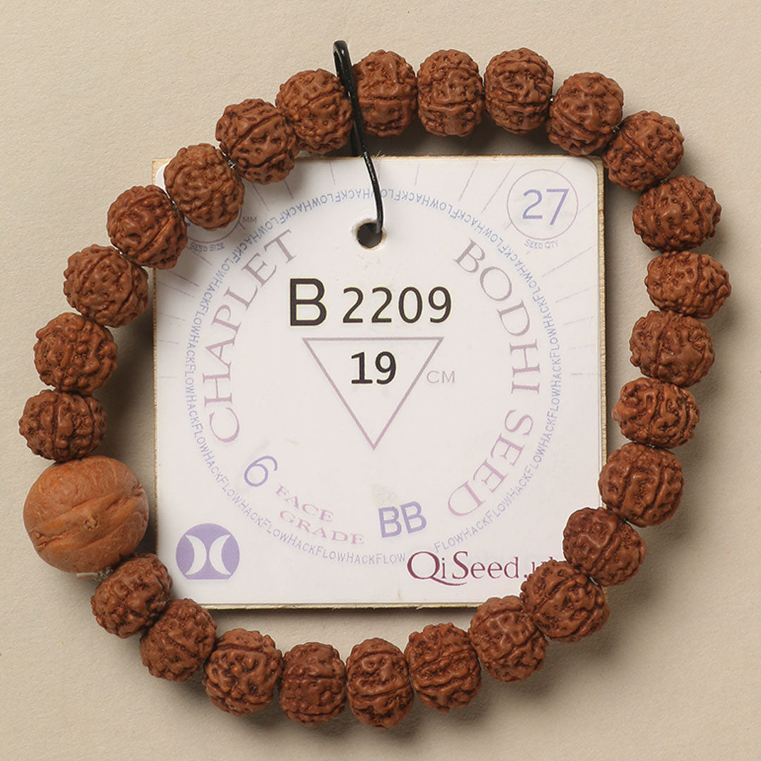 B2209 - Bodhi Seed Chaplet   19 cm  L+