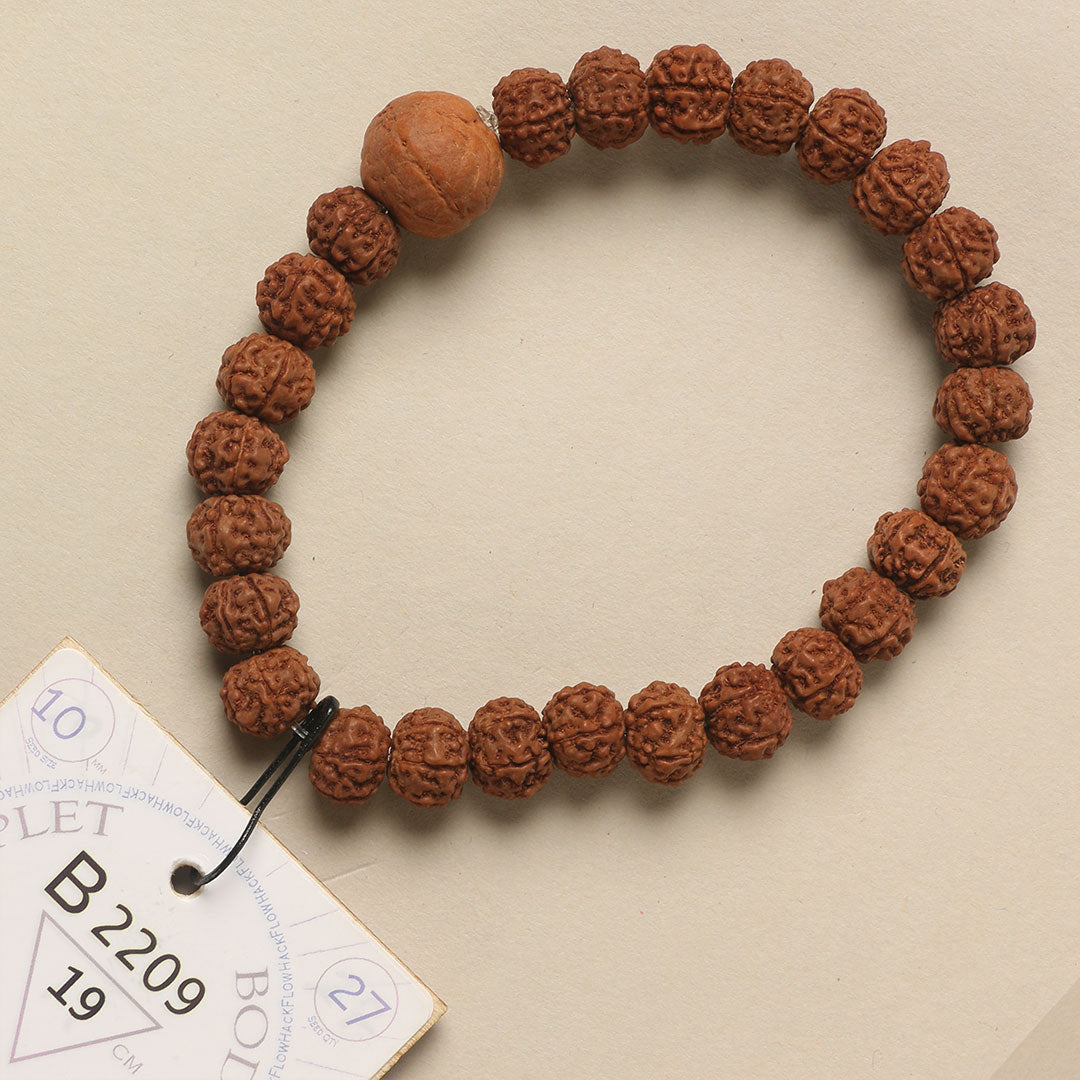 B2209 - Bodhi Seed Chaplet   19 cm  L+