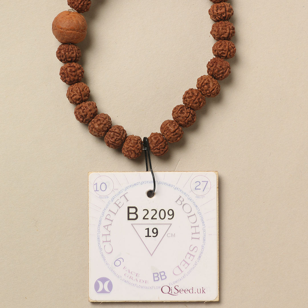 B2209 - Bodhi Seed Chaplet   19 cm  L+