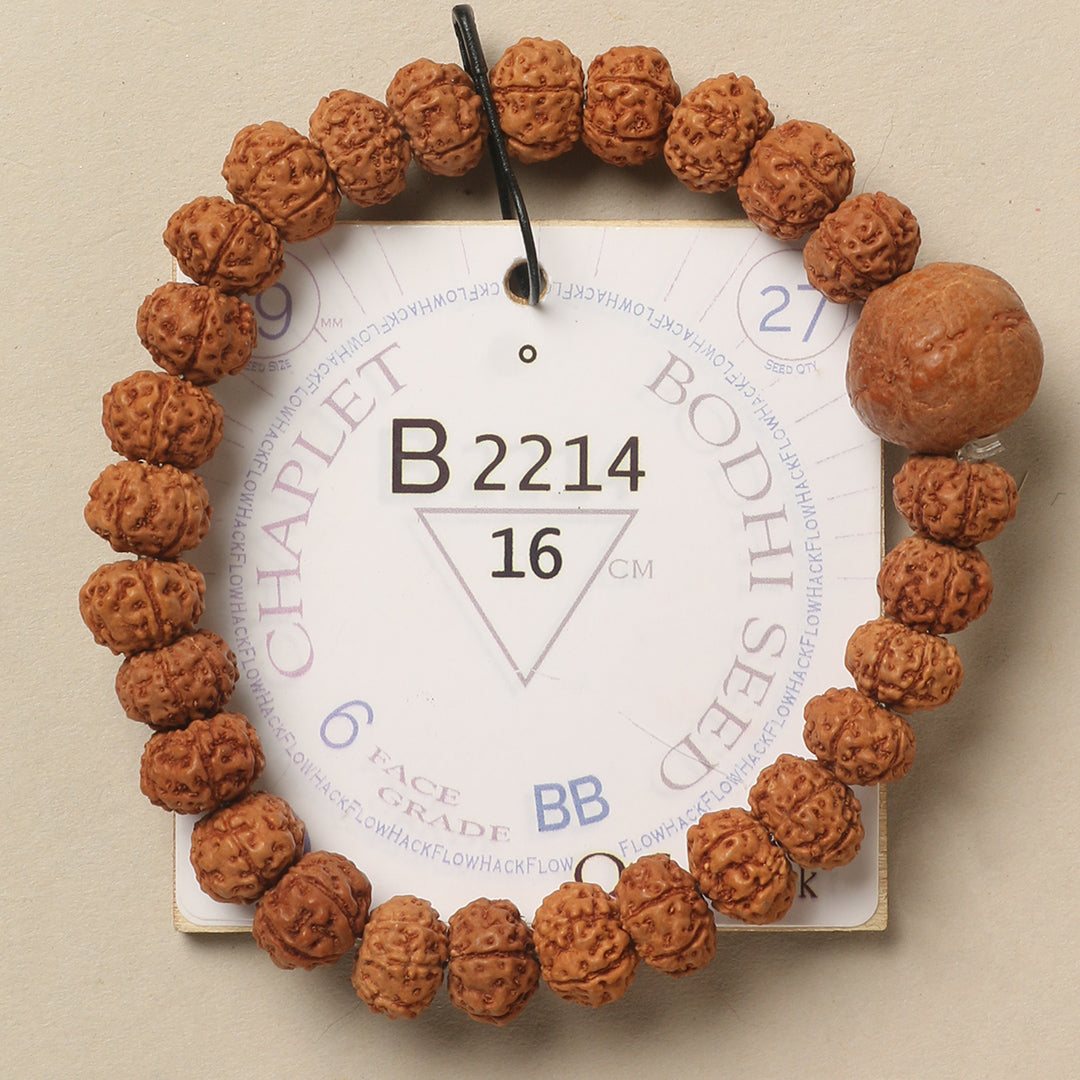 B2214 - Bodhi Seed Chaplet   16 cm  M