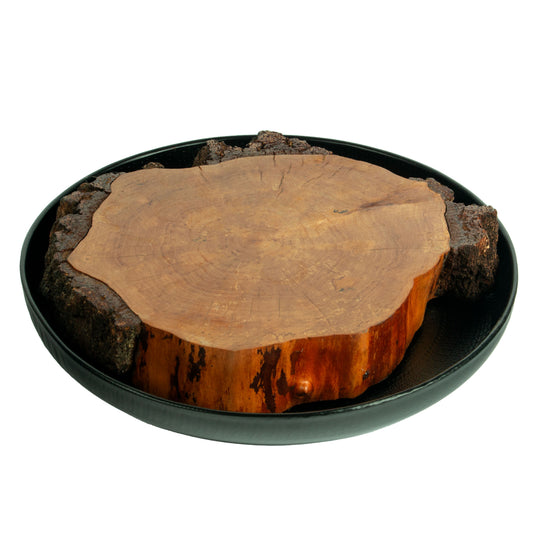 Birch Drum : Wild Edge Silver Birch Tea Tray