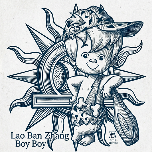Lao Ban Zhang  | Boy Boy |  2018 Harvest  Sheng Puerh   ( Excellent Tier 4 )