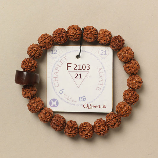 F2103 - Agate Chaplet   21 cm  XL+