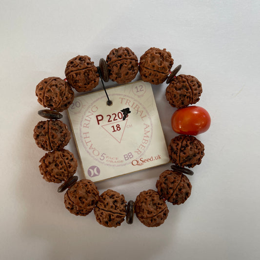 P2207 - Tribal Amber Oath Ring   18+ cm  L