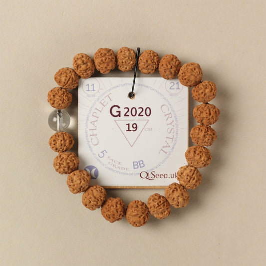 G2020 - Crystal Chaplet   19 cm  L+