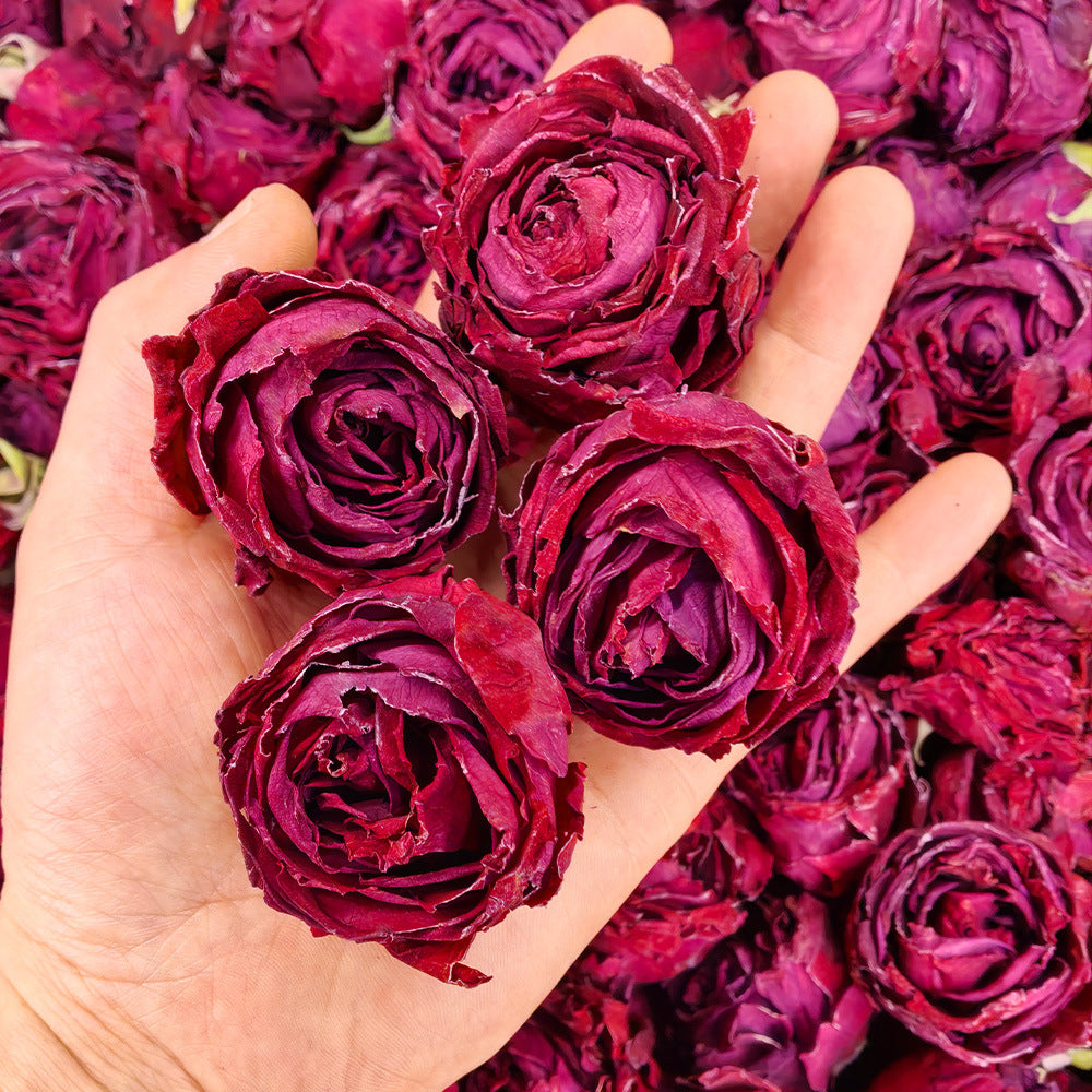 Hand holding Whole freeze-dried dark red rose crown tea blossom with more roses in the background