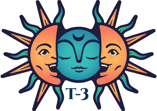 T3-Tea Soul Rev26