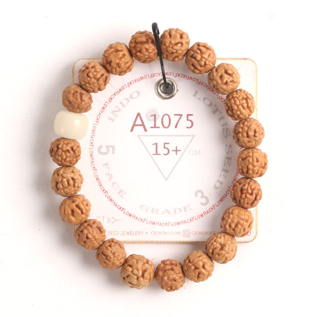 A1075 - Lotus Root Chaplet   15+ cm  S+