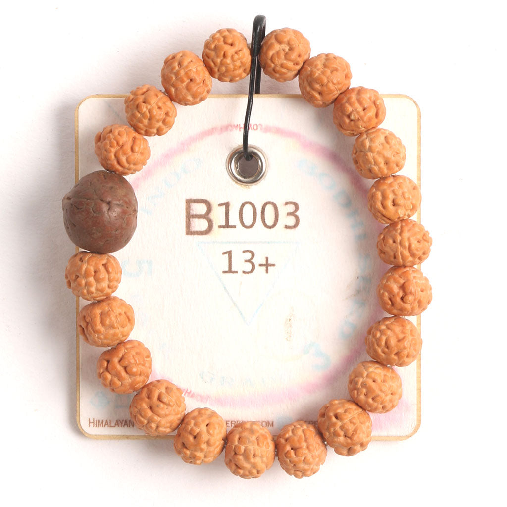 B1003 - Bodhi Seed Chaplet   13+ cm  XS+