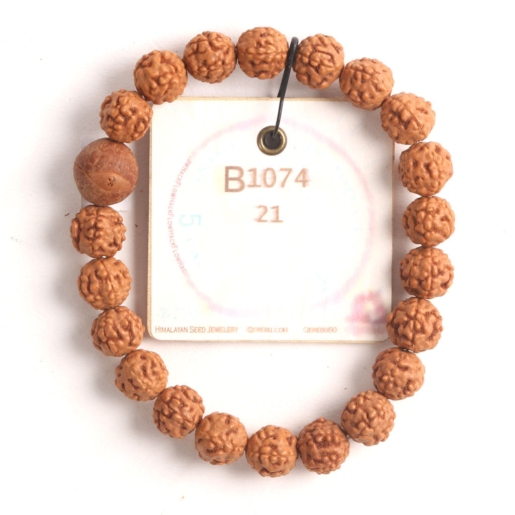 B1074 - Bodhi Seed Chaplet   21 cm  XL+