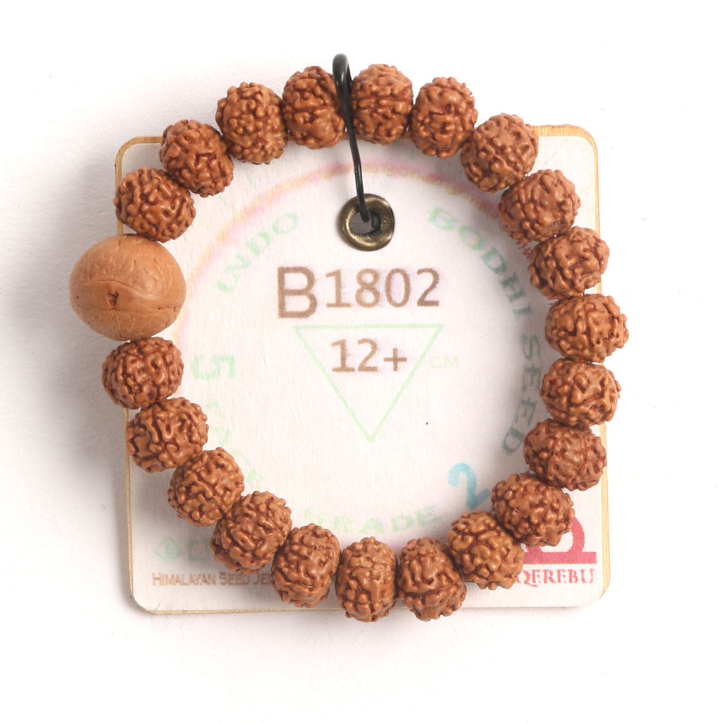 B1802 - Bodhi Seed Chaplet   12+ cm  XS