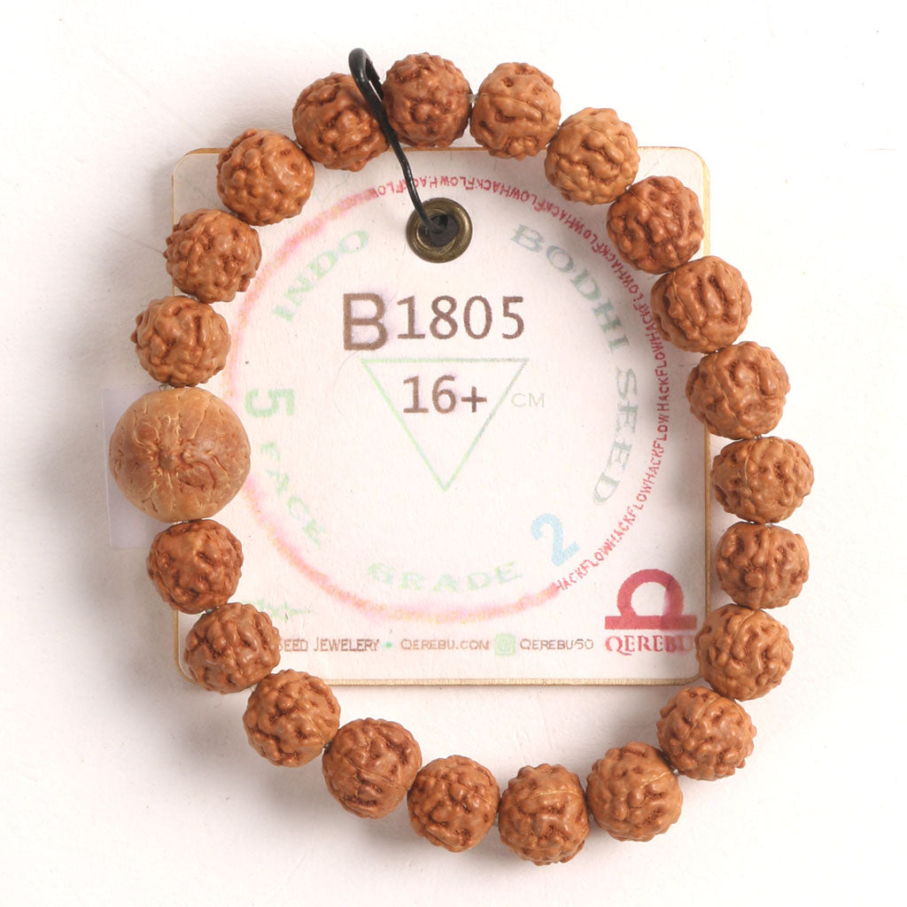 B1805 - Bodhi Seed Chaplet   16+ cm  M
