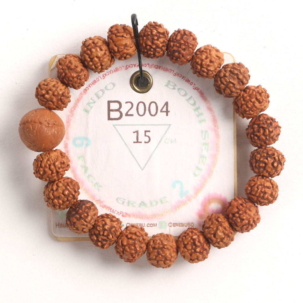 B2004 - Bodhi Seed Chaplet   15 cm  S+